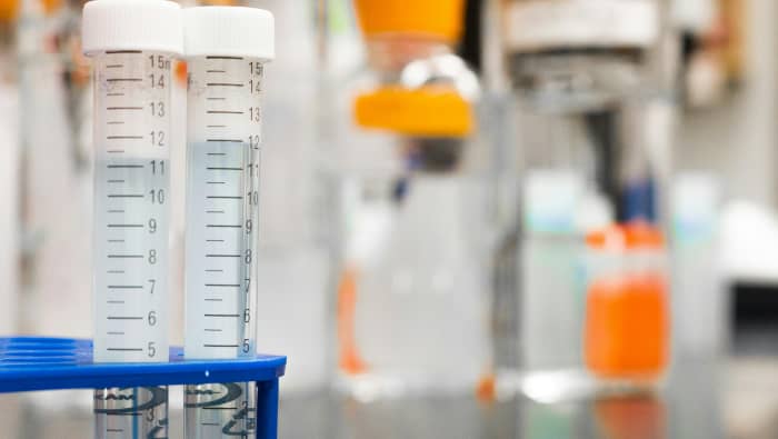 Department of Chemical Engineering